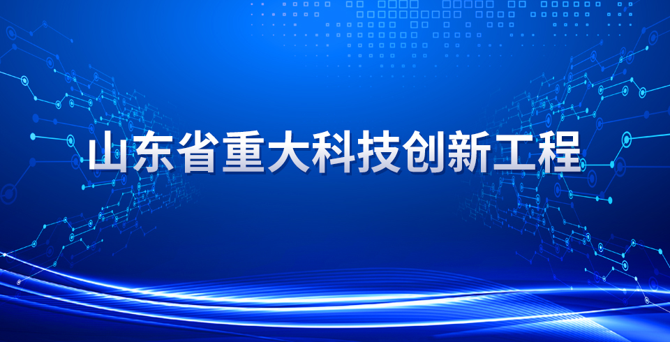 ?？菩略锤弑饶苷龢O補(bǔ)鋰劑項(xiàng)目入選山東省重大科技創(chuàng)新工程